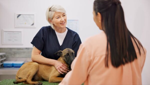 Attract New Veterinary Clients
