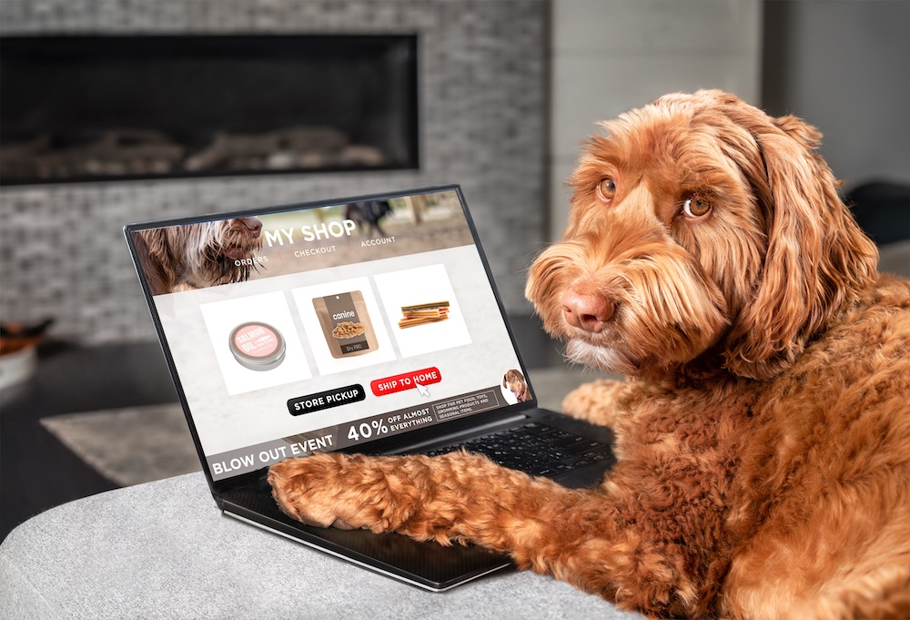 Digital Marketing for Veterinarians