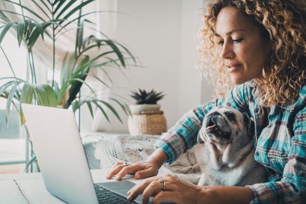 Veterinary SEO